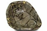 Large, Polished Septarian Bowl - Madagascar #339302-1